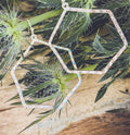Beautiful Geometric Gold or Silver Earrings