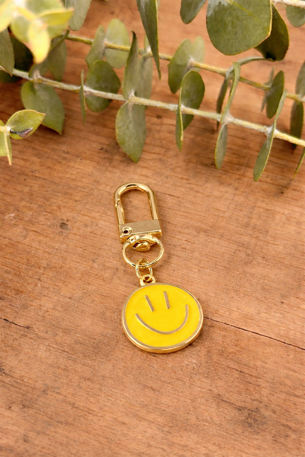 Entzückende bunte Smiley-Schlüsselanhänger