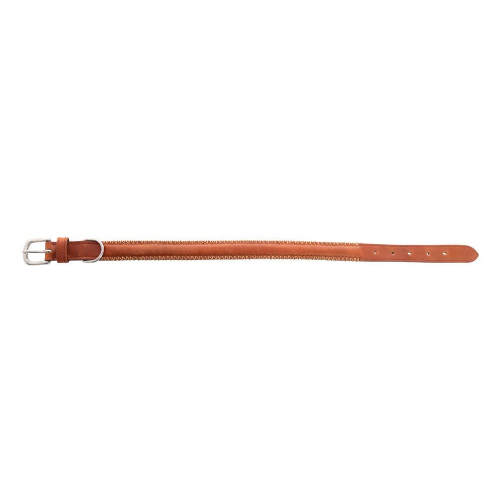 Rio Correr Dog Collar in Caramel