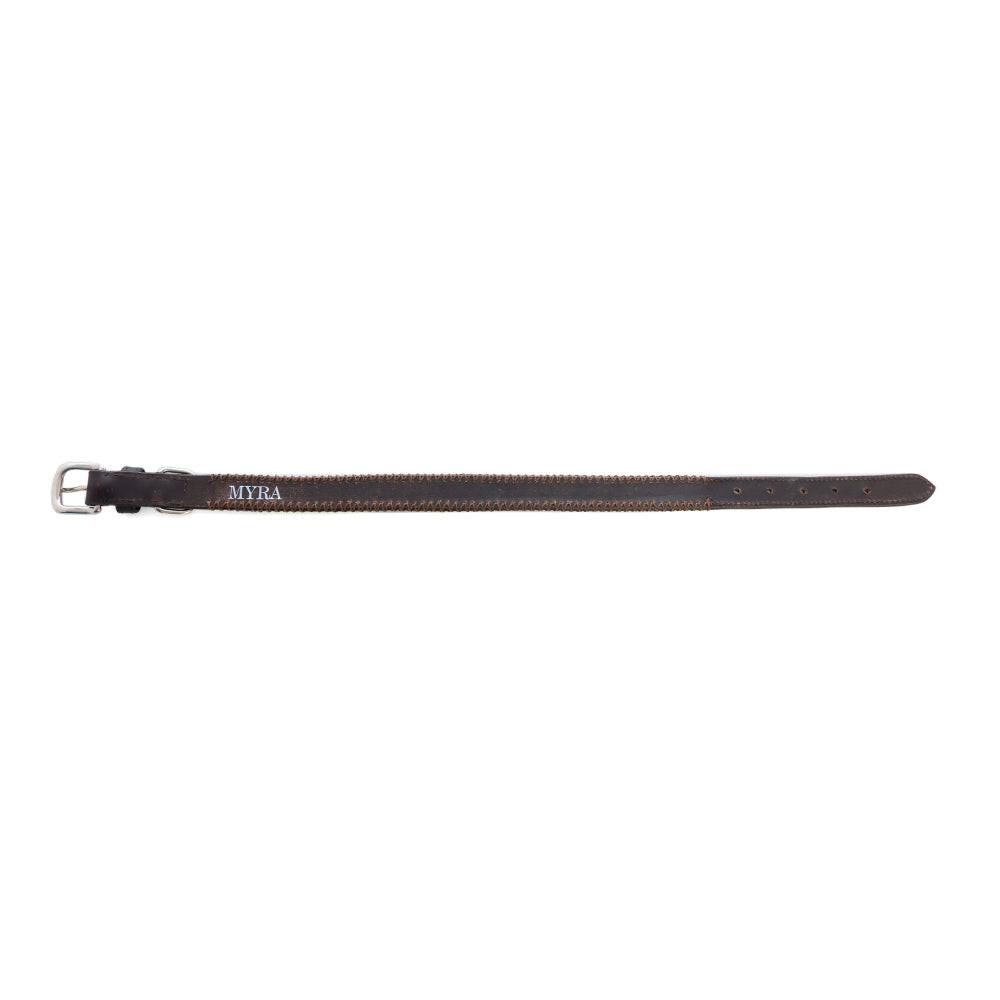 Rio Correr Dog Collar in Chocolate