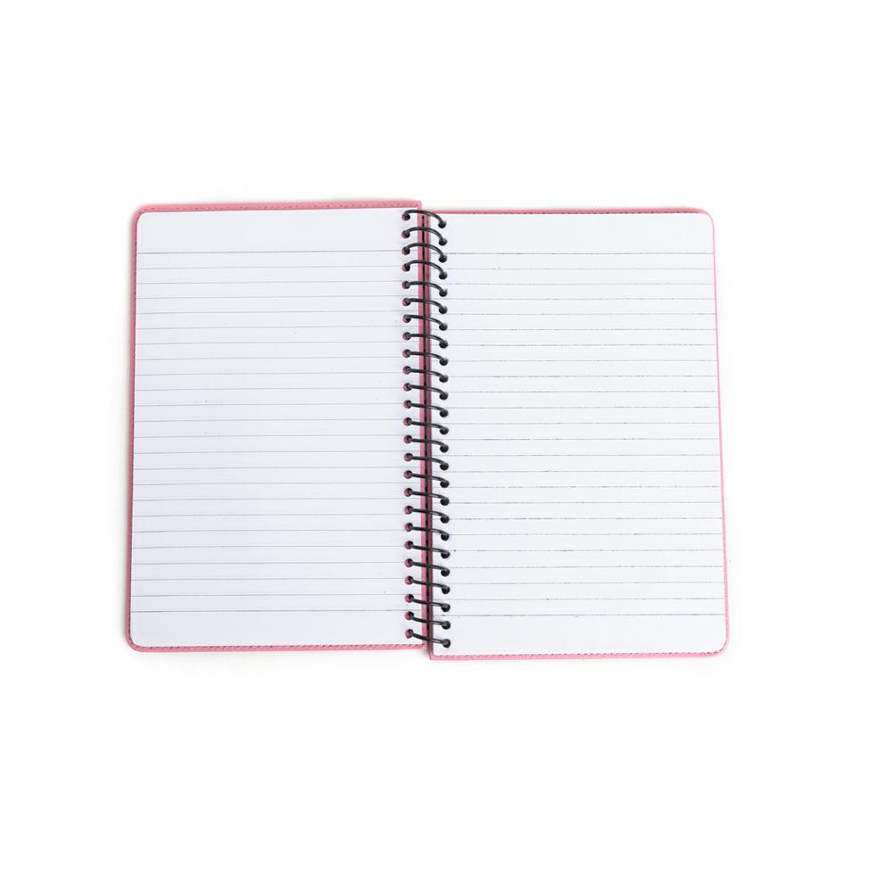 Steerhallow Canyon Diary in Pink