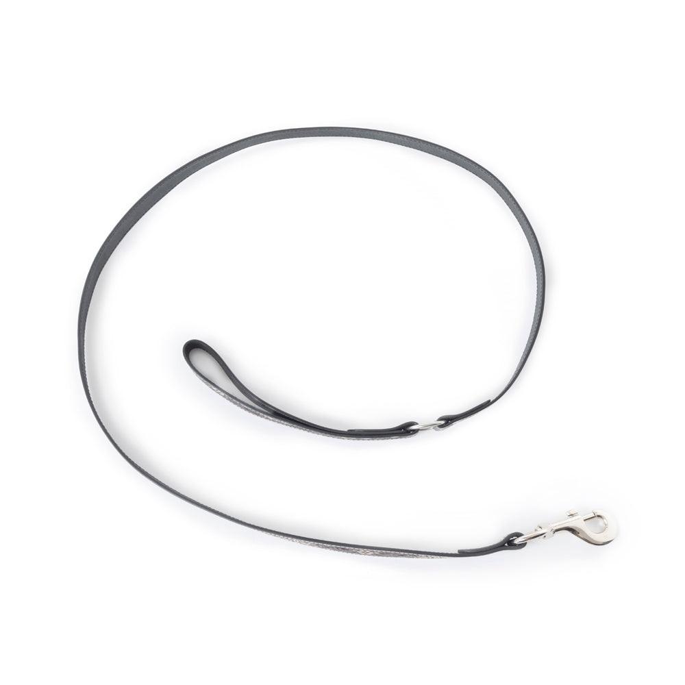 Clairmonte Dog Leash In Black