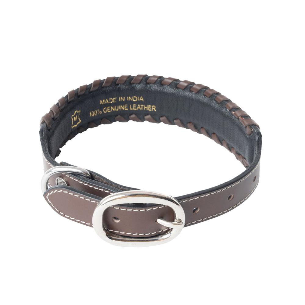 Freedom Trail Dog Collar In Black & Turquoise