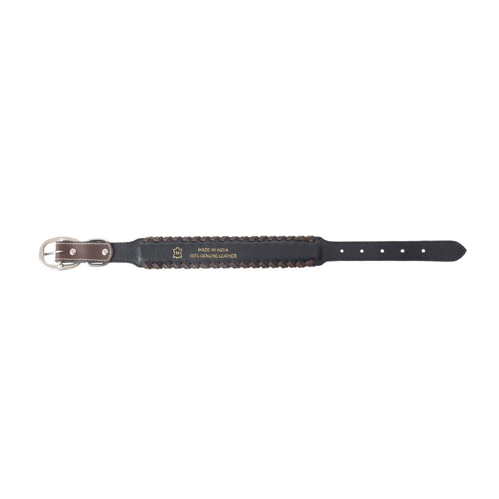 Freedom Trail Dog Collar In Black & Turquoise