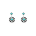 Starlight Canyon Earrings