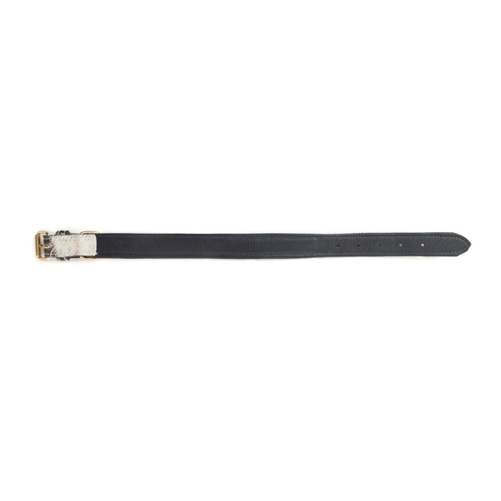 Prairie Paws Studded Hairon Dog Collar in Ash & Ivory