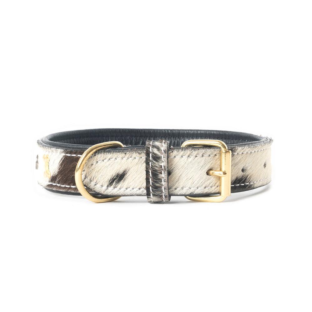 Prairie Paws Studded Hairon Dog Collar in Ash & Ivory