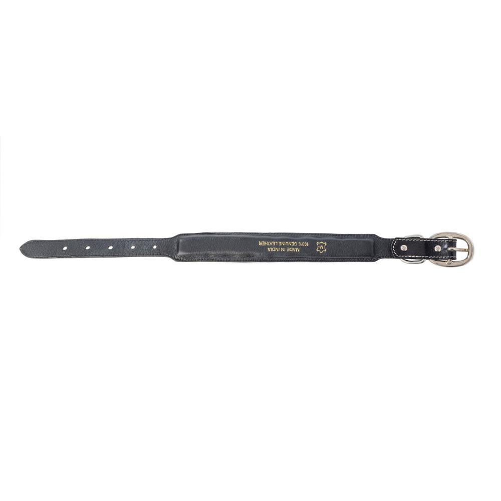 Turquoise Trail Cowboy Dog Collar in Black