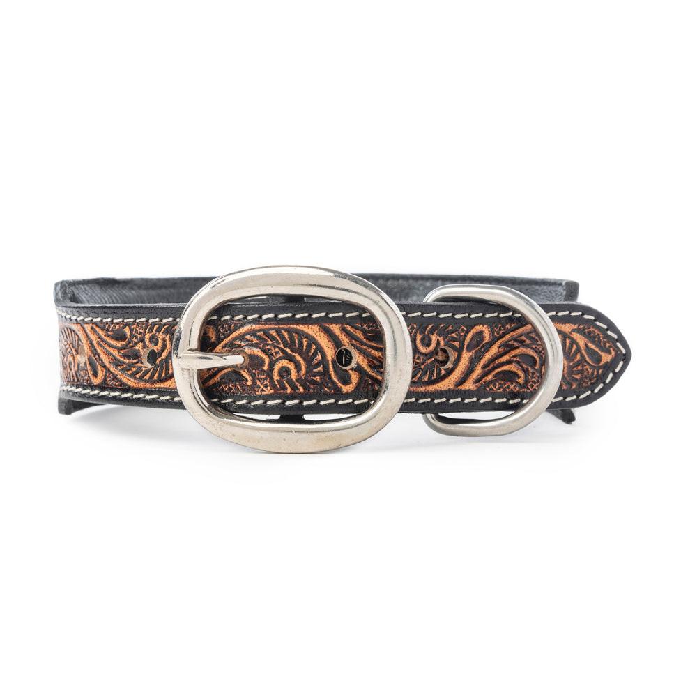 Turquoise Trail Cowboy Dog Collar in Black