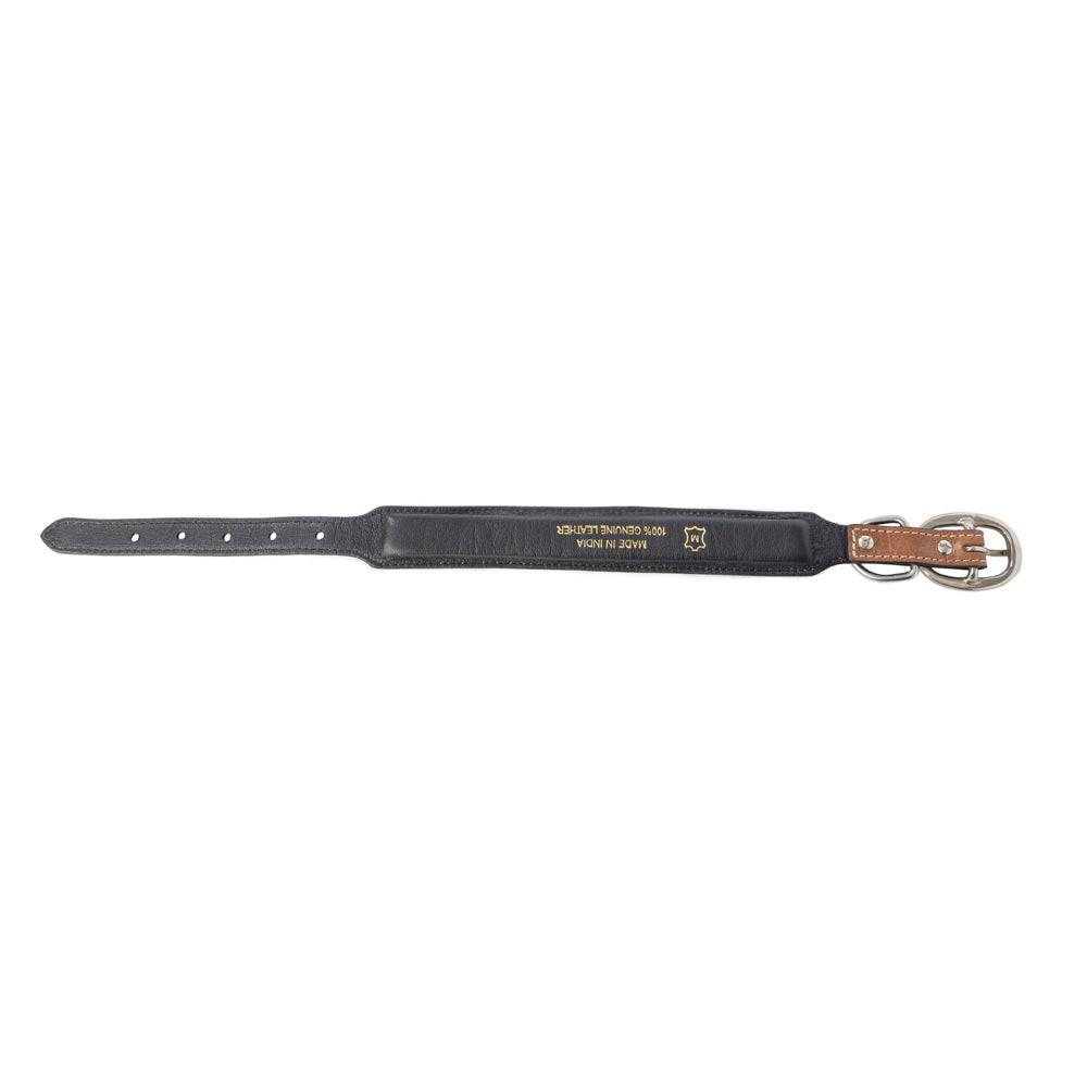 Prairie Sunflower Trail Dog Collar in Sandstone