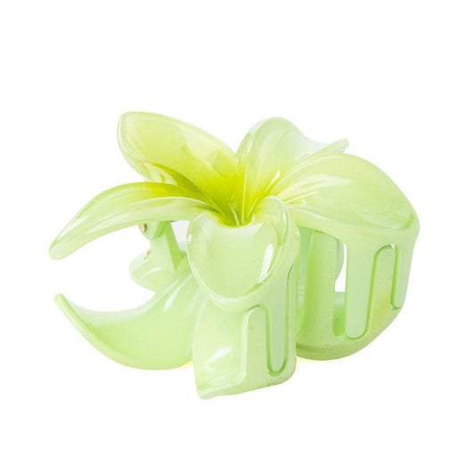 Wüstenblüte Haarspange in Kaktus