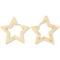 Dioptre Earring