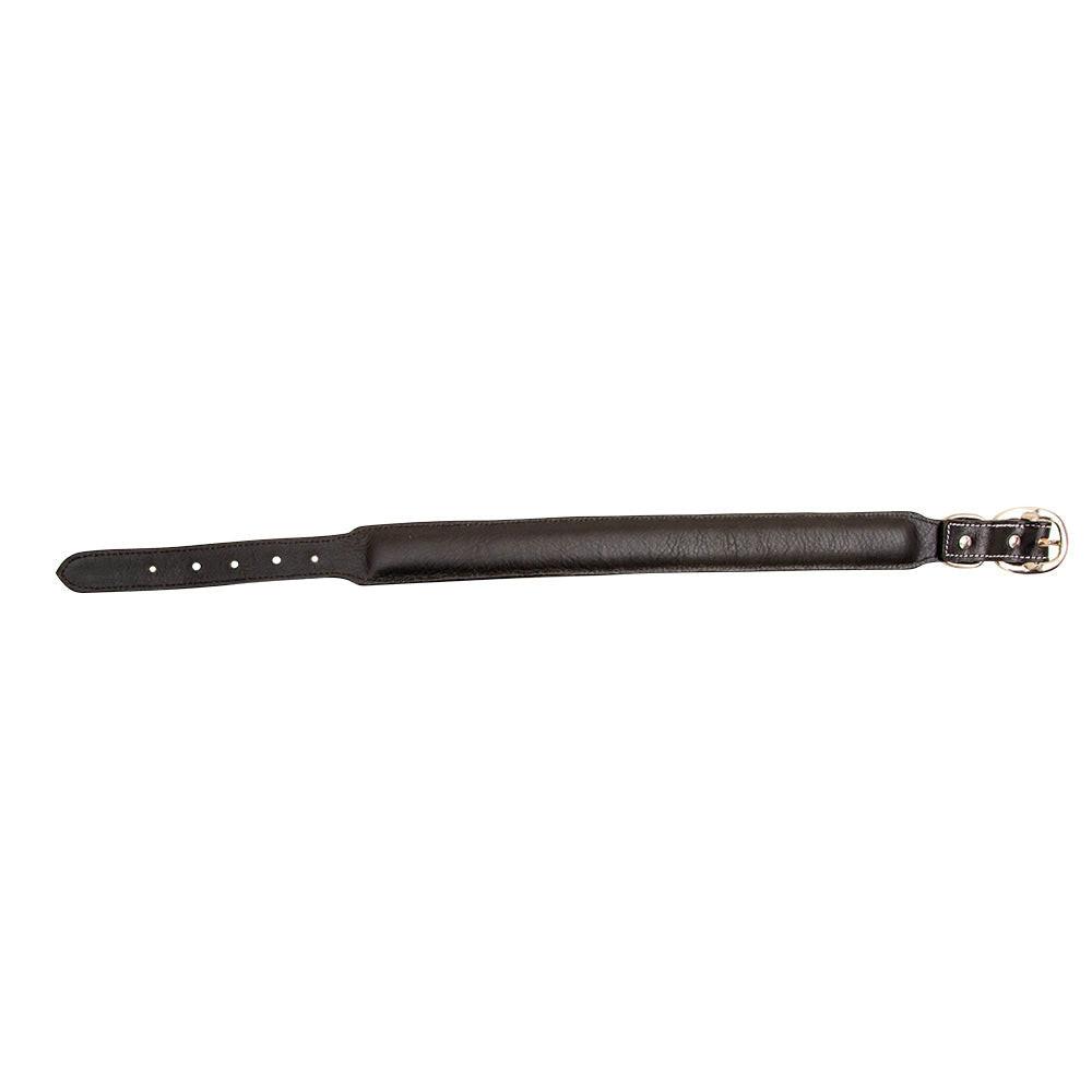 Hotshots Hand-Tooled Leather Dog Collar