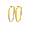 Radiance Gold Tone Earrings
